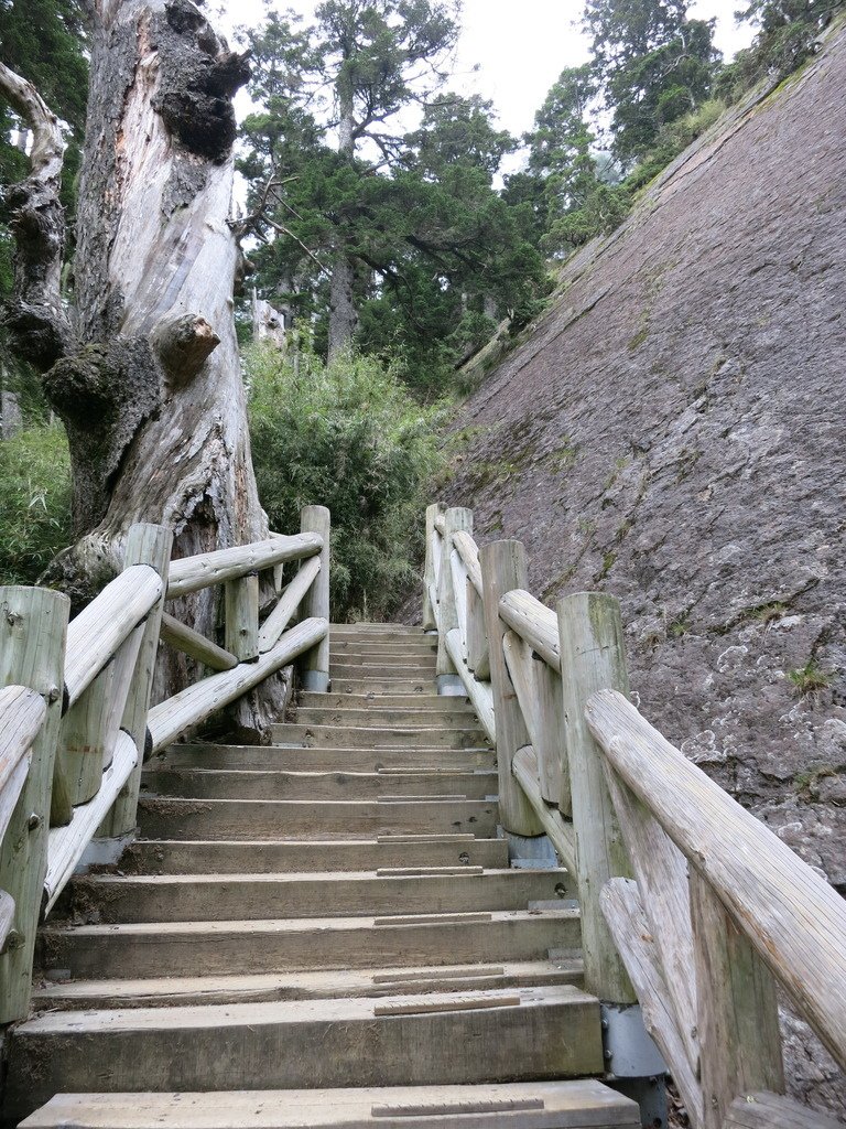 1040731玉山主峰一日單攻~(二二六鐵人)