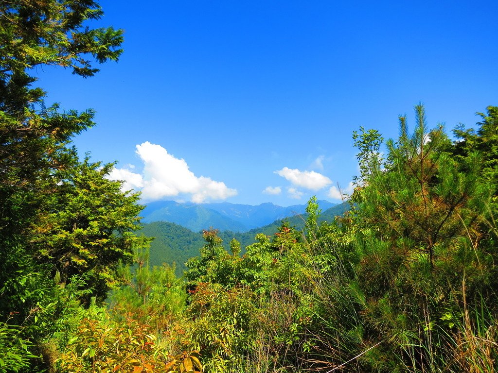 1040715~19中央尖山五天四夜單攻行程記錄~第一天:思