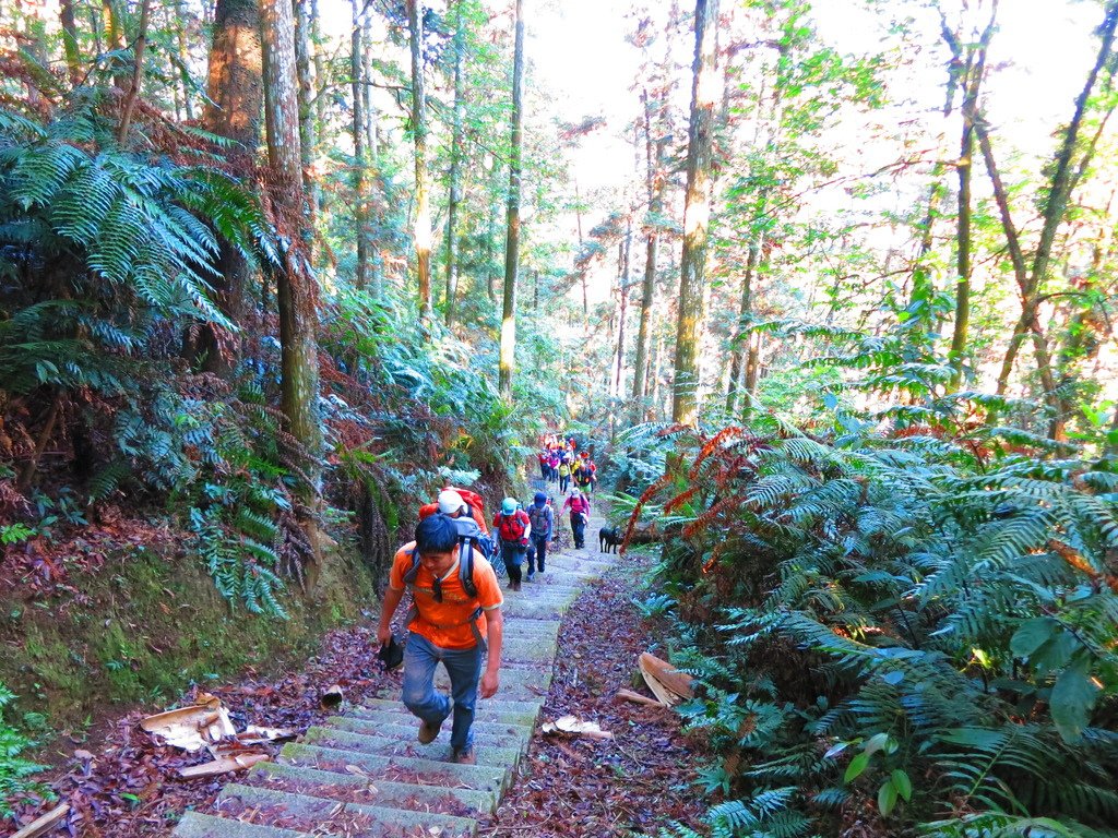 1040516南投日月潭水社大山行程紀錄