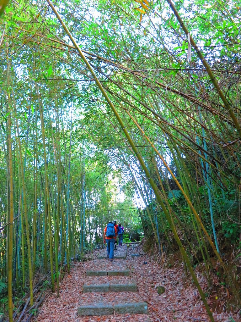 1040516南投日月潭水社大山行程紀錄