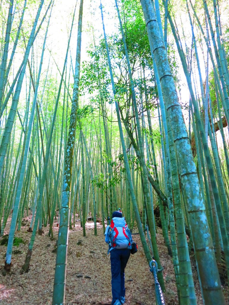 1040516南投日月潭水社大山行程紀錄