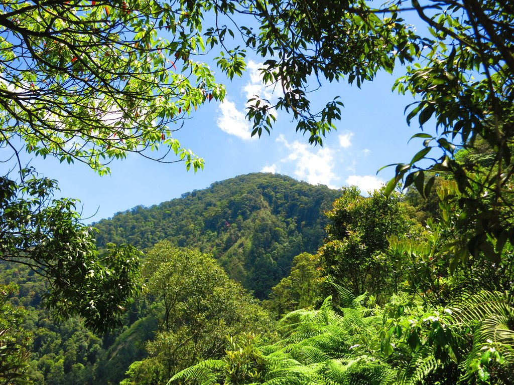 1040516南投日月潭水社大山行程紀錄