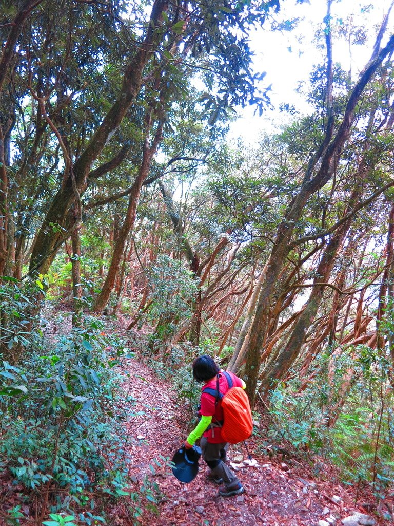 1040516南投日月潭水社大山行程紀錄