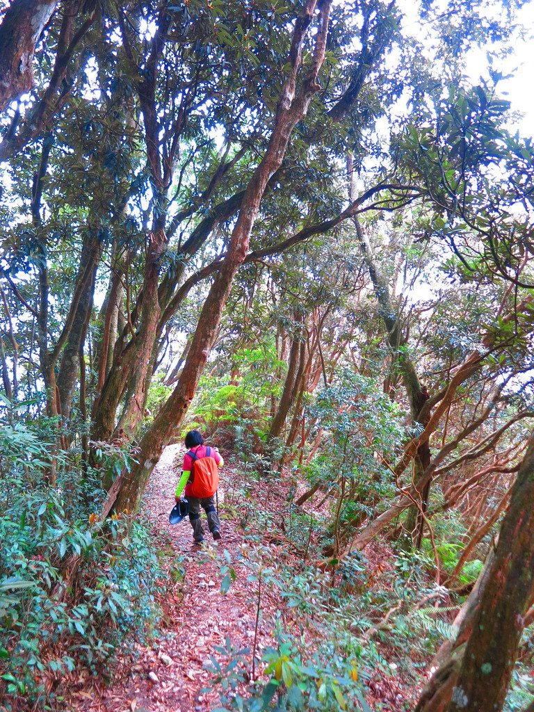 1040516南投日月潭水社大山行程紀錄