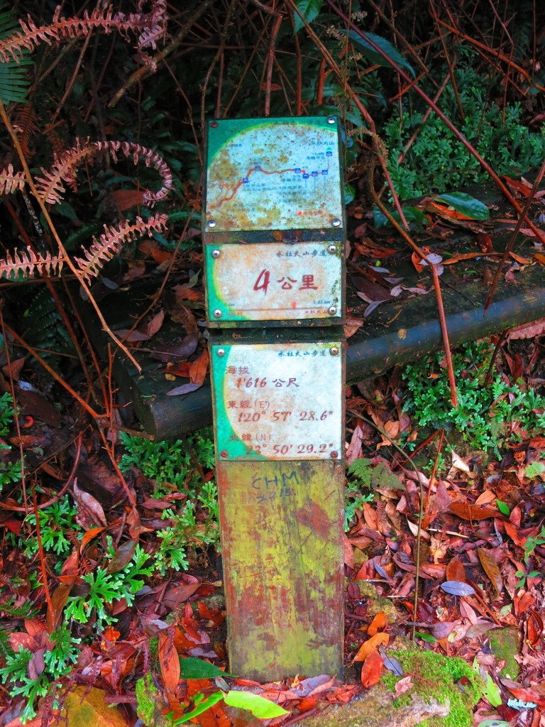 1040516南投日月潭水社大山行程紀錄