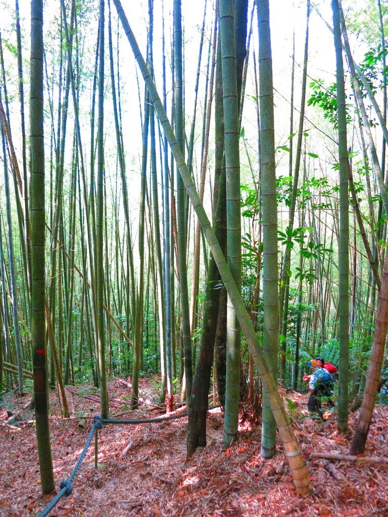 1040516南投日月潭水社大山行程紀錄