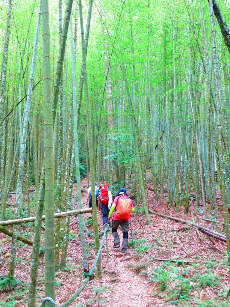 1040516南投日月潭水社大山行程紀錄