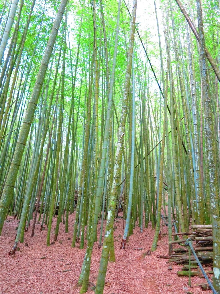 1040516南投日月潭水社大山行程紀錄