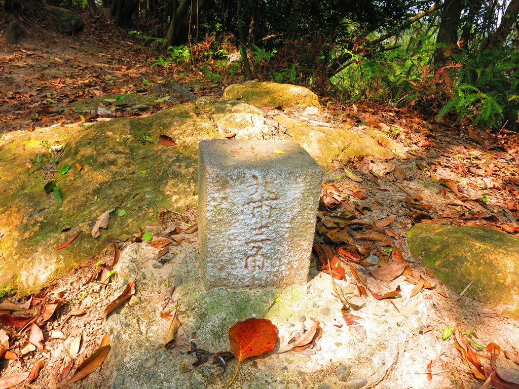 內湖康樂街內溝溪生態解說館上明舉山下安泰街小O型回生態解說館