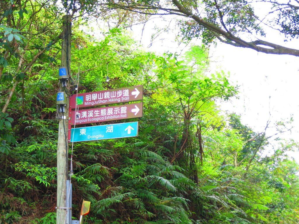 內湖康樂街內溝溪生態解說館上明舉山下安泰街小O型回生態解說館