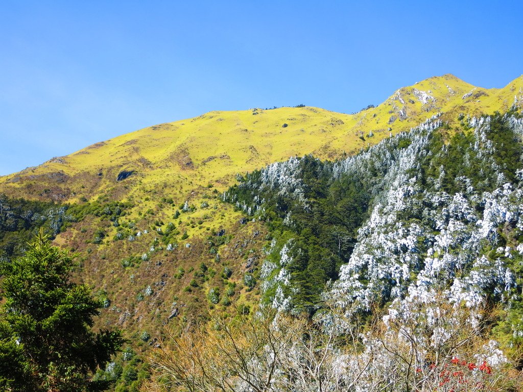 深堀山!又稱(奇來主山南南峰)