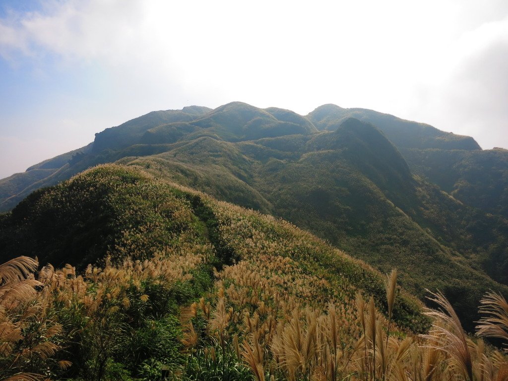 1031125金瓜石黃金博物館上黃金神社、半平山、茶壺山下勸