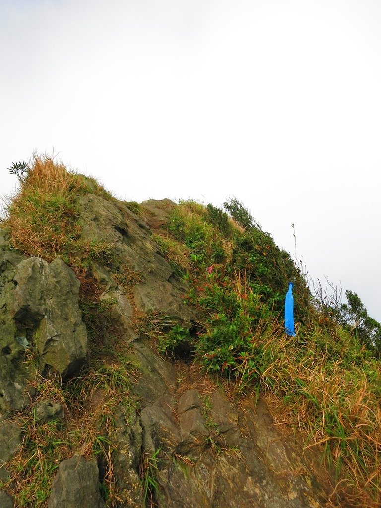 1031125金瓜石黃金博物館上黃金神社、半平山、茶壺山下勸