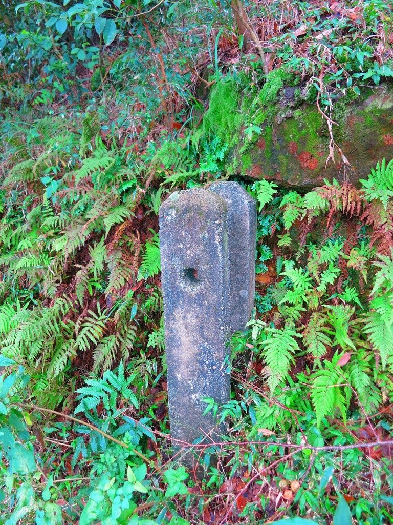 1031125金瓜石黃金博物館上黃金神社、半平山、茶壺山下勸