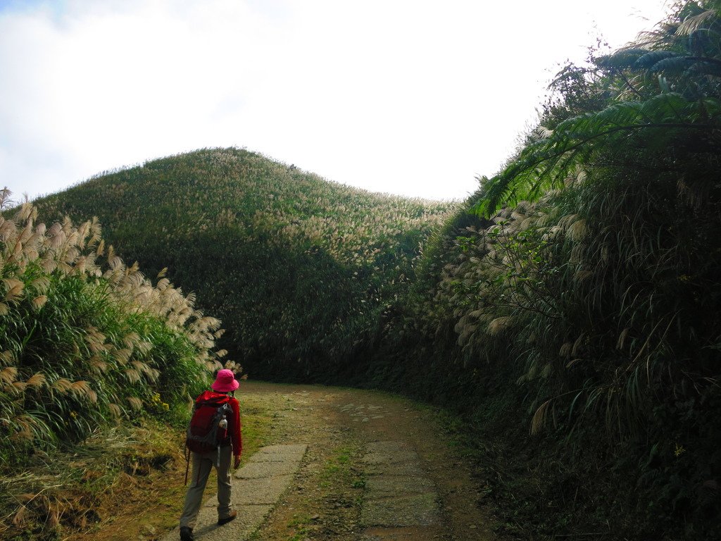 1031125金瓜石黃金博物館上黃金神社、半平山、茶壺山下勸