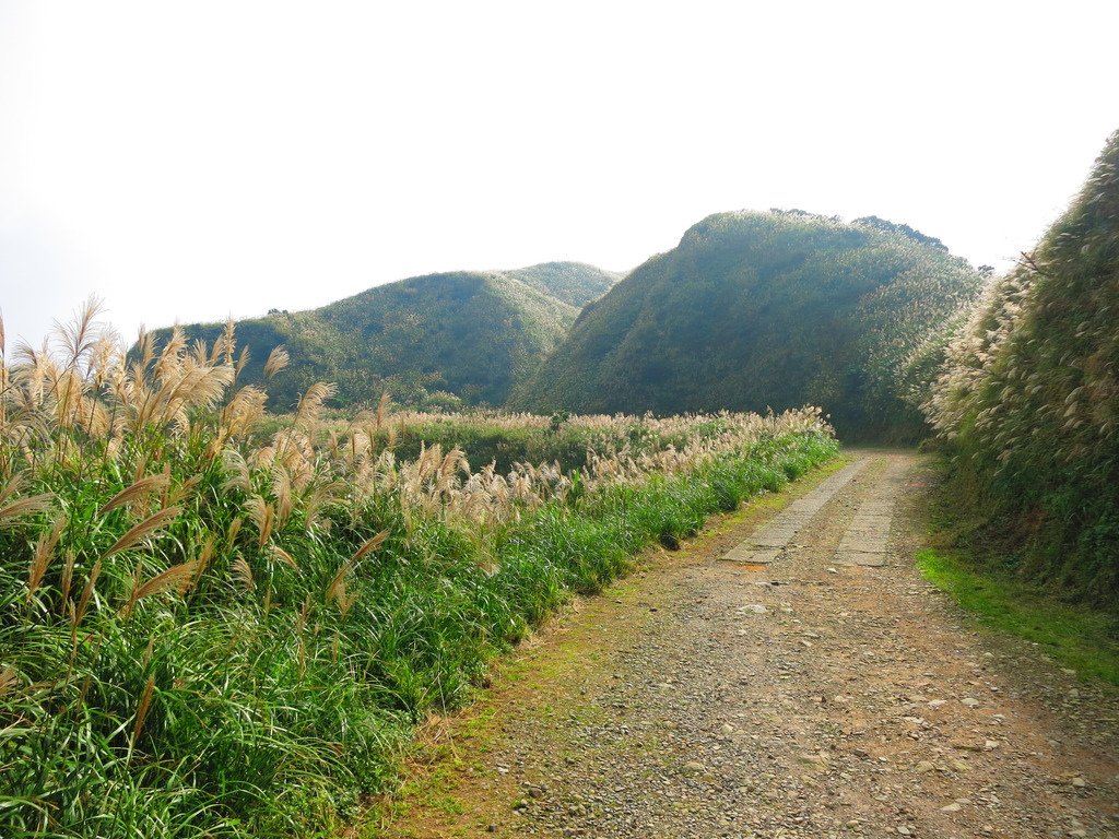 1031125金瓜石黃金博物館上黃金神社、半平山、茶壺山下勸