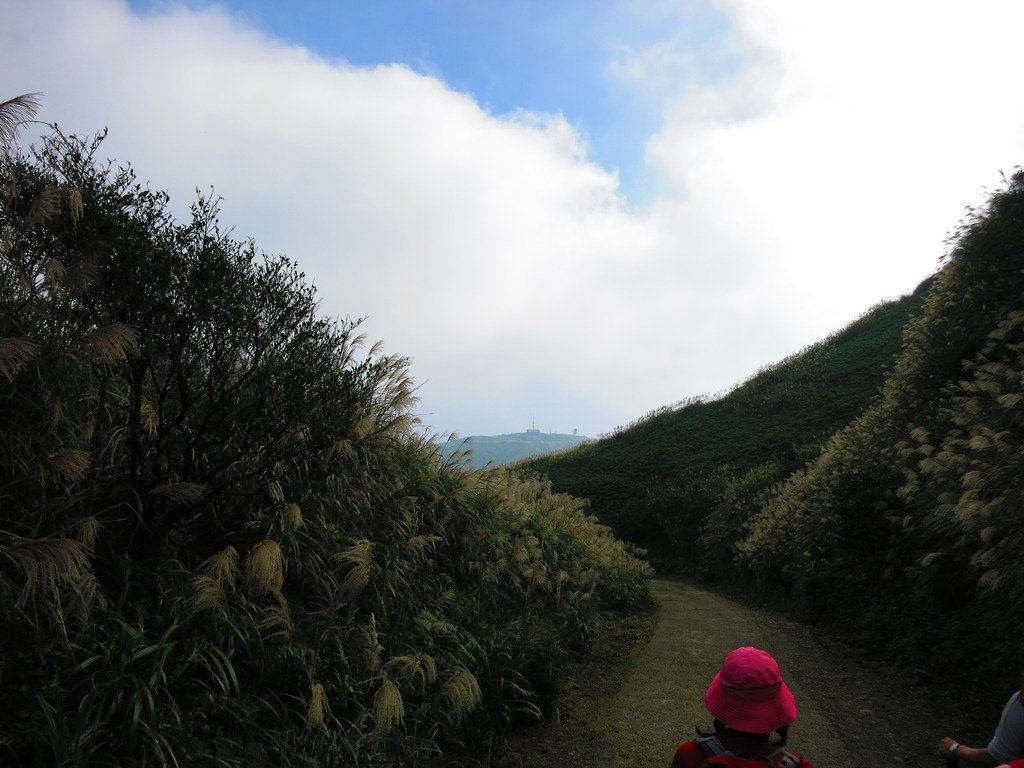 1031125金瓜石黃金博物館上黃金神社、半平山、茶壺山下勸