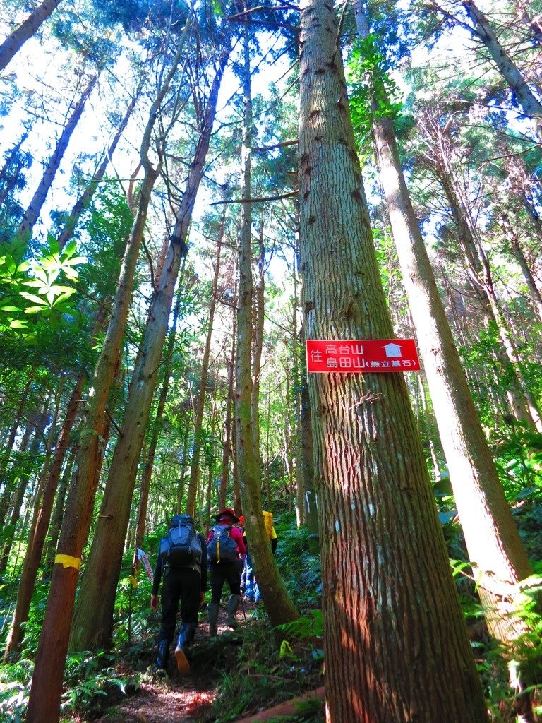 1031004新竹尖石高台山及小中大島田山三山連走~高島P型