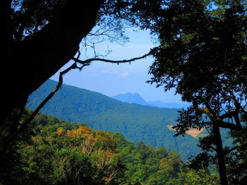 1031004新竹尖石高台山及小中大島田山三山連走~高島P型