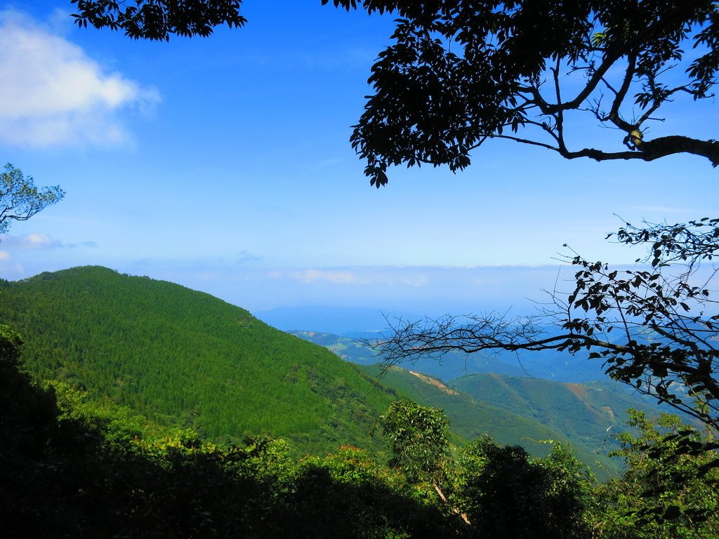 1031004新竹尖石高台山及小中大島田山三山連走~高島P型