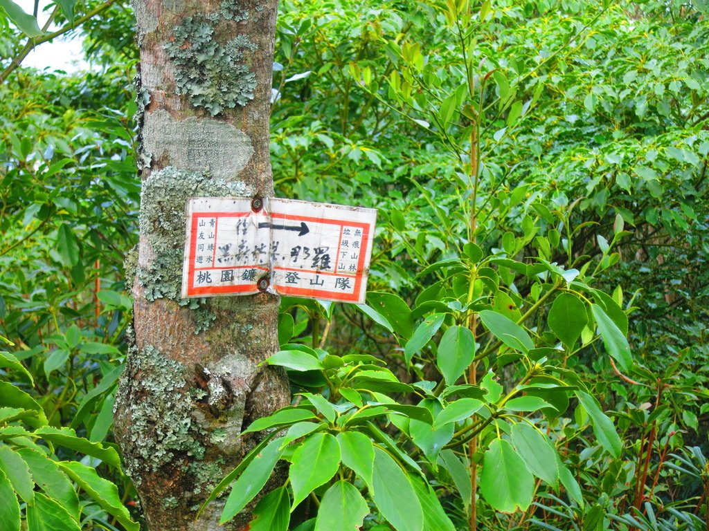 1031004新竹尖石高台山及小中大島田山三山連走~高島P型