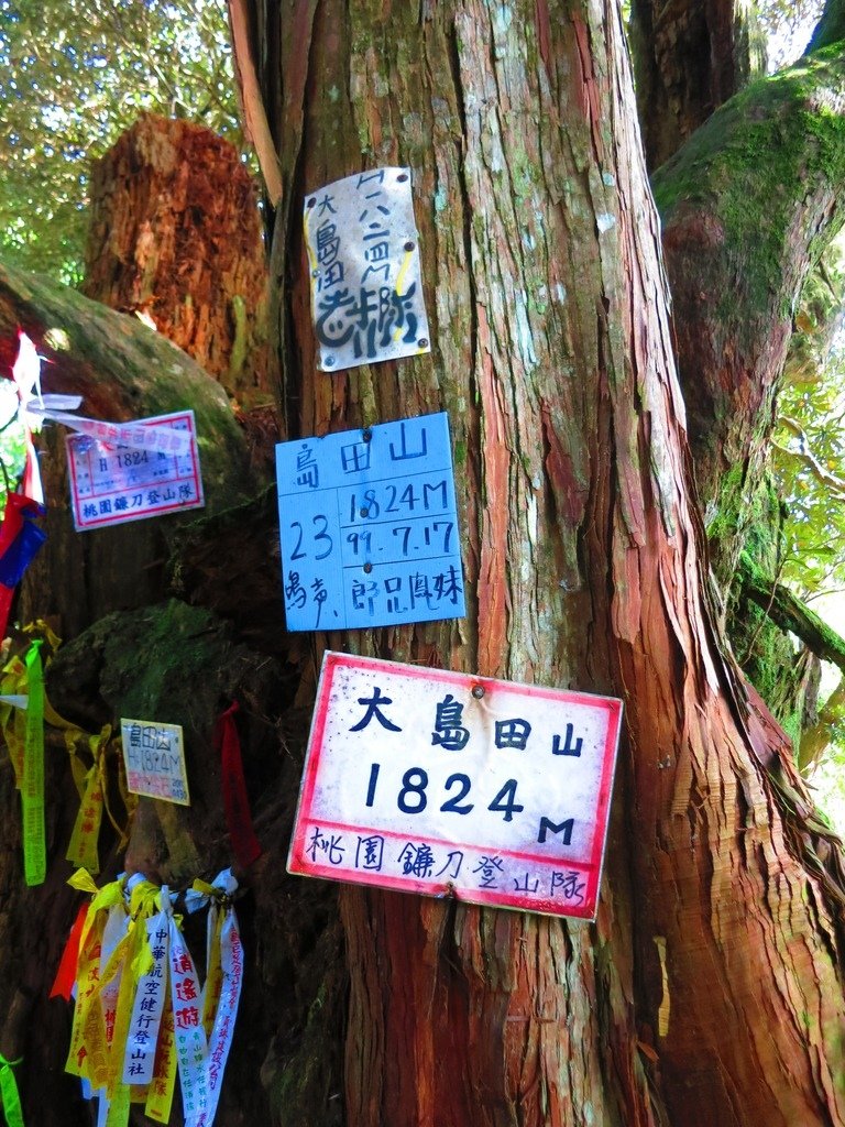 1031004新竹尖石高台山及小中大島田山三山連走~高島P型