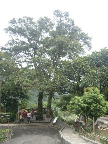 1010511內湖白石湖吊橋、忠勇山及碧山巖記錄~