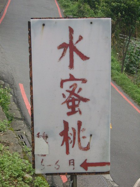 1010511內湖白石湖吊橋、忠勇山及碧山巖記錄~