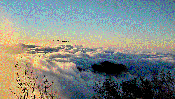 P_20190117_172111_HDR-ANIMATION.gif
