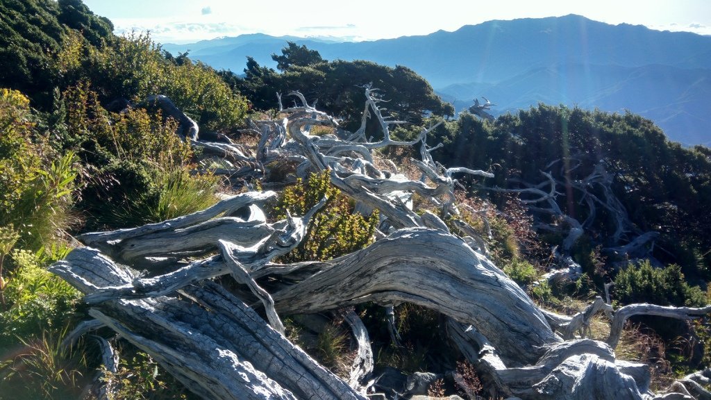 回憶那一年的中秋節雪山帶隊~