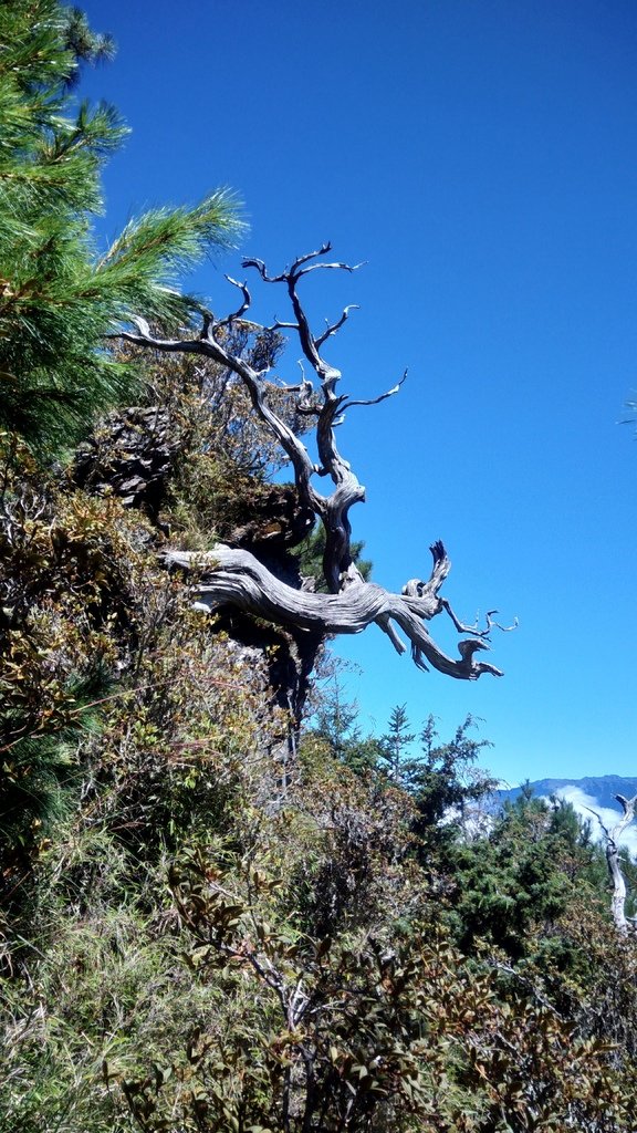 回憶那一年的中秋節雪山帶隊~