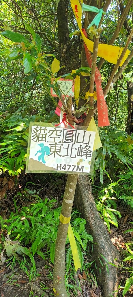 1120526貓空草湳大榕樹~貓空圓山東北峰~貓空圓山~南邦