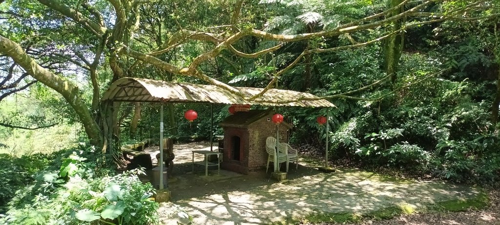 1120526貓空草湳大榕樹~貓空圓山東北峰~貓空圓山~南邦