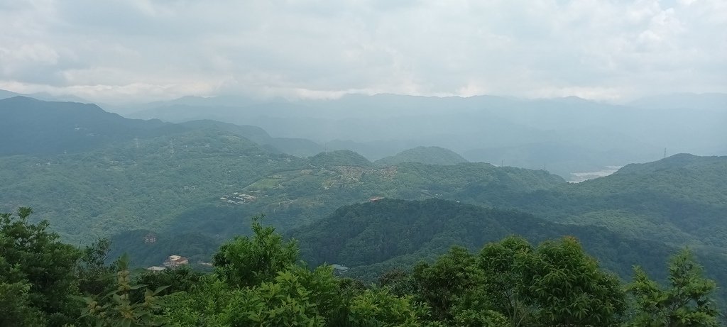 1120526貓空草湳大榕樹~貓空圓山東北峰~貓空圓山~南邦