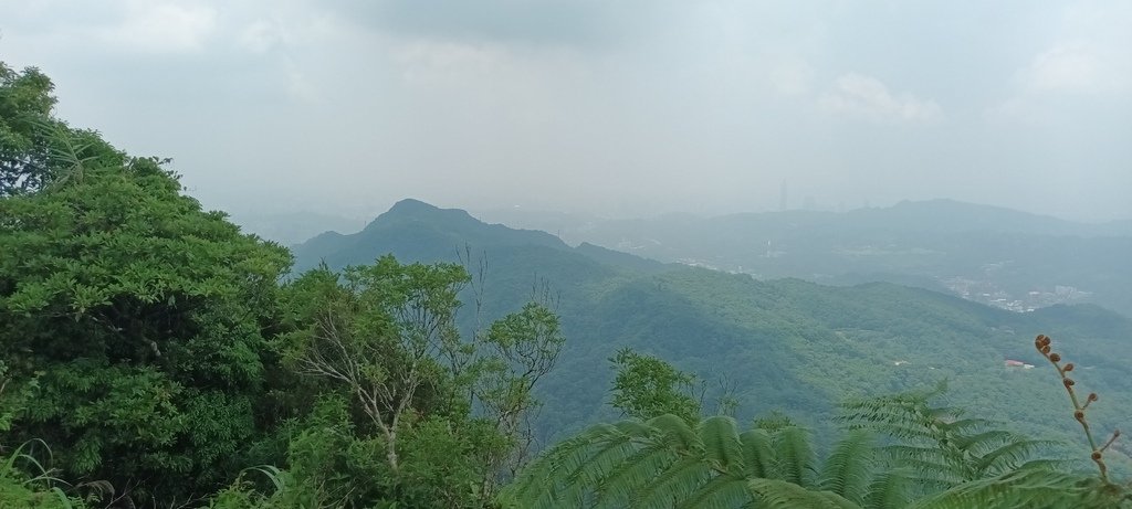 1120526貓空草湳大榕樹~貓空圓山東北峰~貓空圓山~南邦