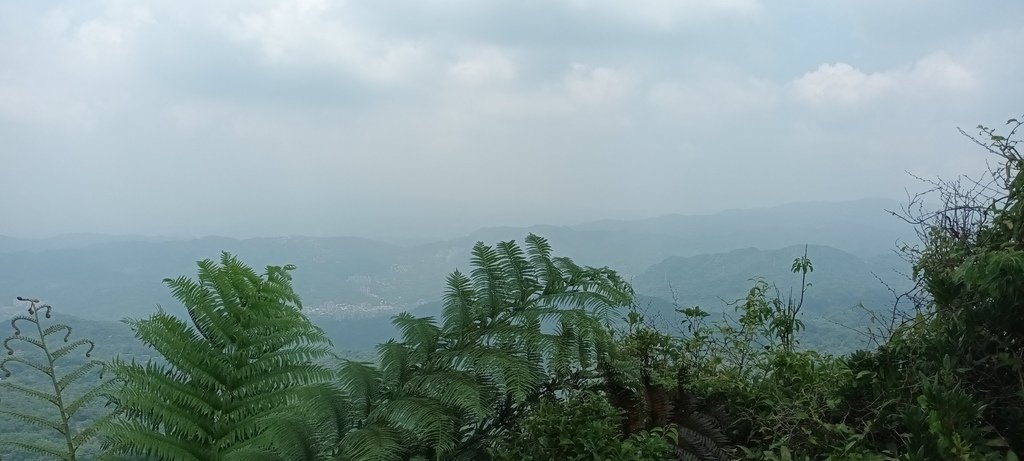 1120526貓空草湳大榕樹~貓空圓山東北峰~貓空圓山~南邦