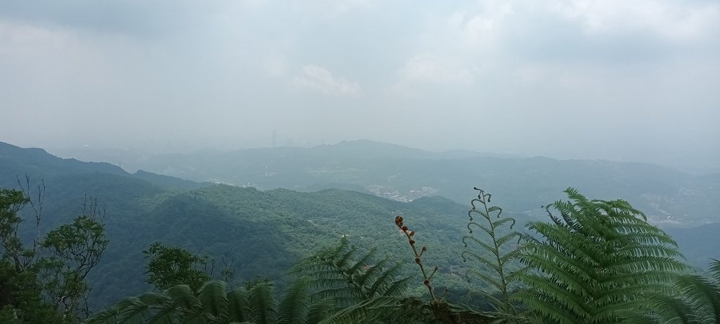 1120526貓空草湳大榕樹~貓空圓山東北峰~貓空圓山~南邦