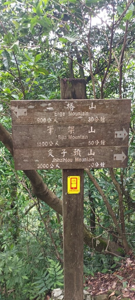 1120526貓空草湳大榕樹~貓空圓山東北峰~貓空圓山~南邦