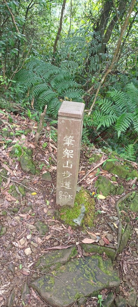 1120526貓空草湳大榕樹~貓空圓山東北峰~貓空圓山~南邦