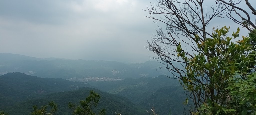 1120526貓空草湳大榕樹~貓空圓山東北峰~貓空圓山~南邦