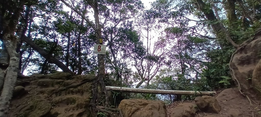 1120526貓空草湳大榕樹~貓空圓山東北峰~貓空圓山~南邦