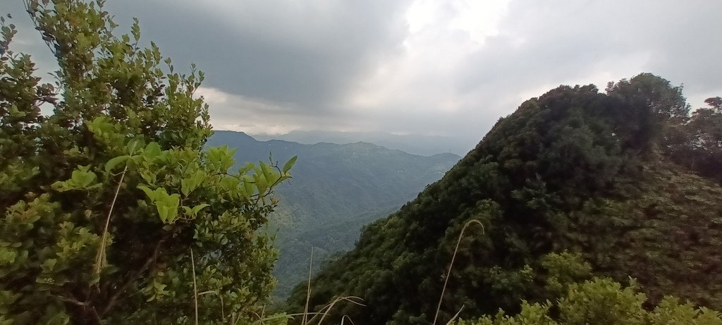 1120526貓空草湳大榕樹~貓空圓山東北峰~貓空圓山~南邦