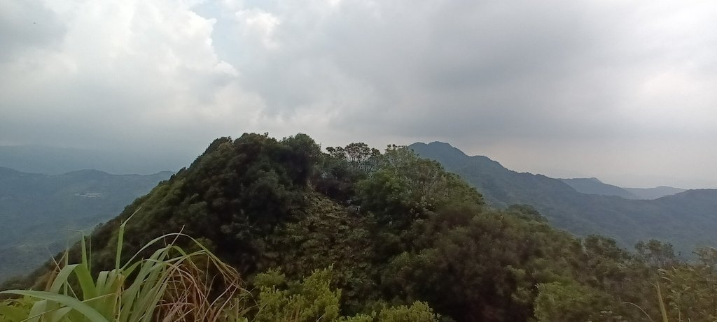 1120526貓空草湳大榕樹~貓空圓山東北峰~貓空圓山~南邦