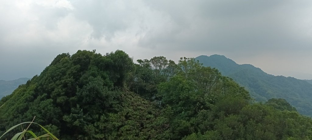 1120526貓空草湳大榕樹~貓空圓山東北峰~貓空圓山~南邦