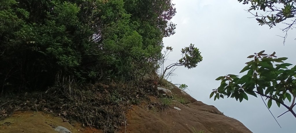 1120526貓空草湳大榕樹~貓空圓山東北峰~貓空圓山~南邦