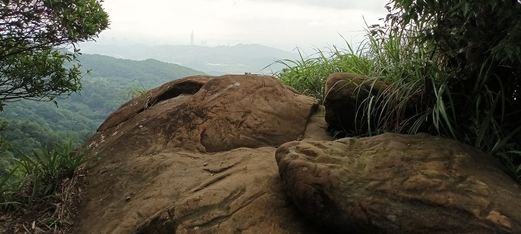 1120526貓空草湳大榕樹~貓空圓山東北峰~貓空圓山~南邦