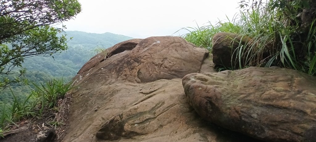 1120526貓空草湳大榕樹~貓空圓山東北峰~貓空圓山~南邦