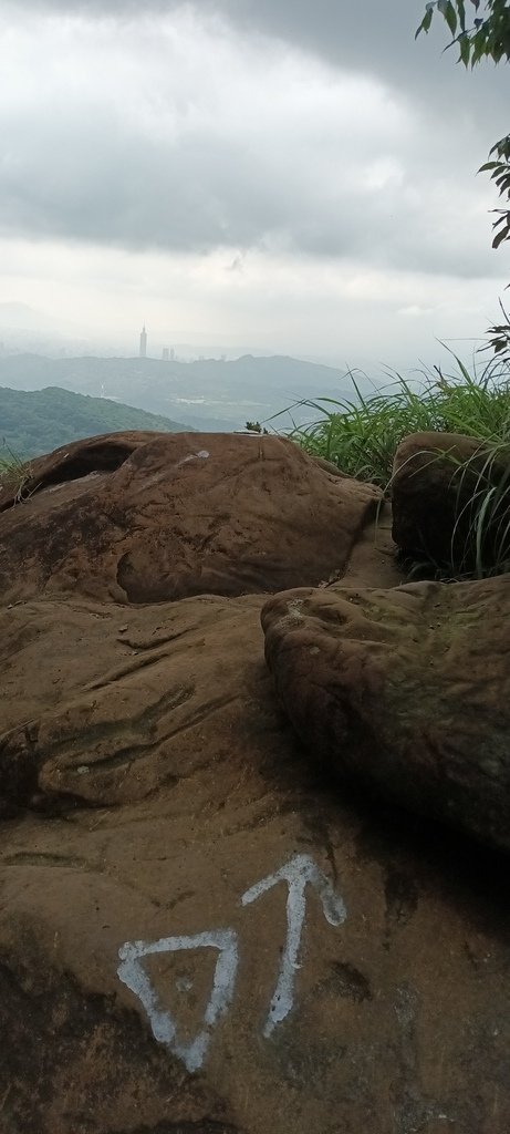 1120526貓空草湳大榕樹~貓空圓山東北峰~貓空圓山~南邦