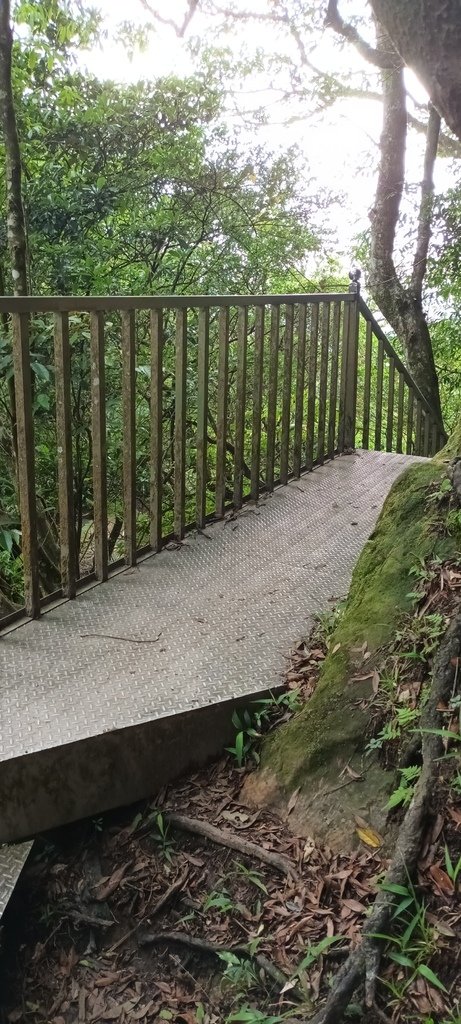 1120526貓空草湳大榕樹~貓空圓山東北峰~貓空圓山~南邦