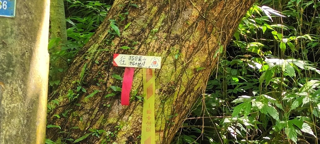 1120526貓空草湳大榕樹~貓空圓山東北峰~貓空圓山~南邦